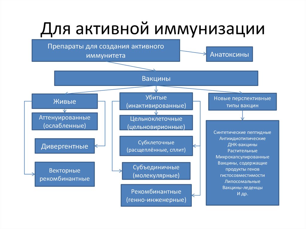 Используется для создания. Средства активной иммунизации. Препараты для активной иммунизации. Биологические препараты для активной иммунизации:. Для активной иммунизации применяются:.