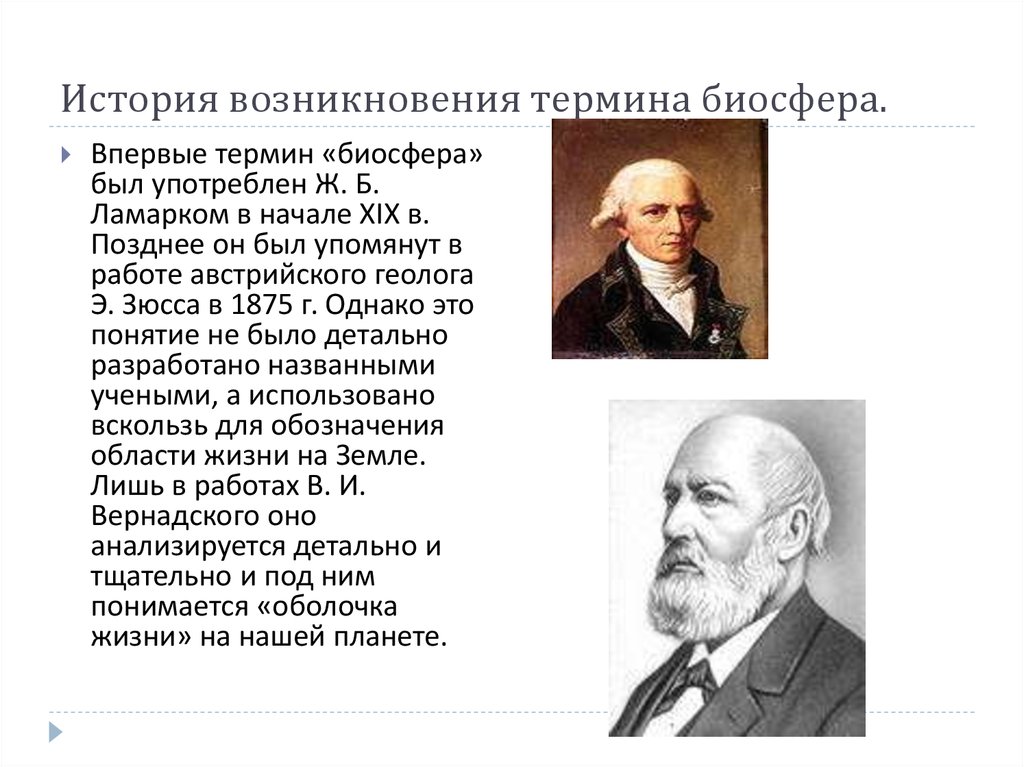 История возникновения термина