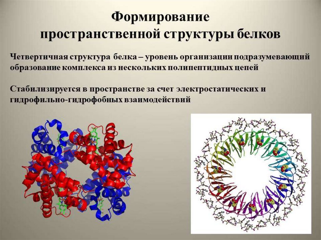 Что такое биохимия