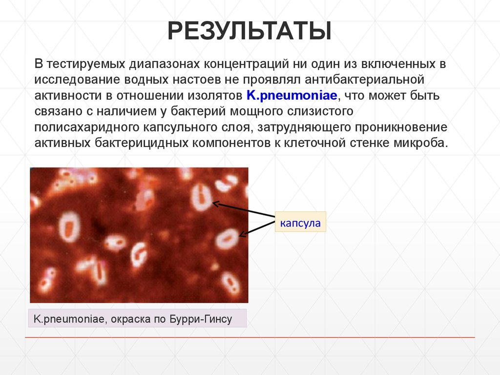 Метод бурри гинса