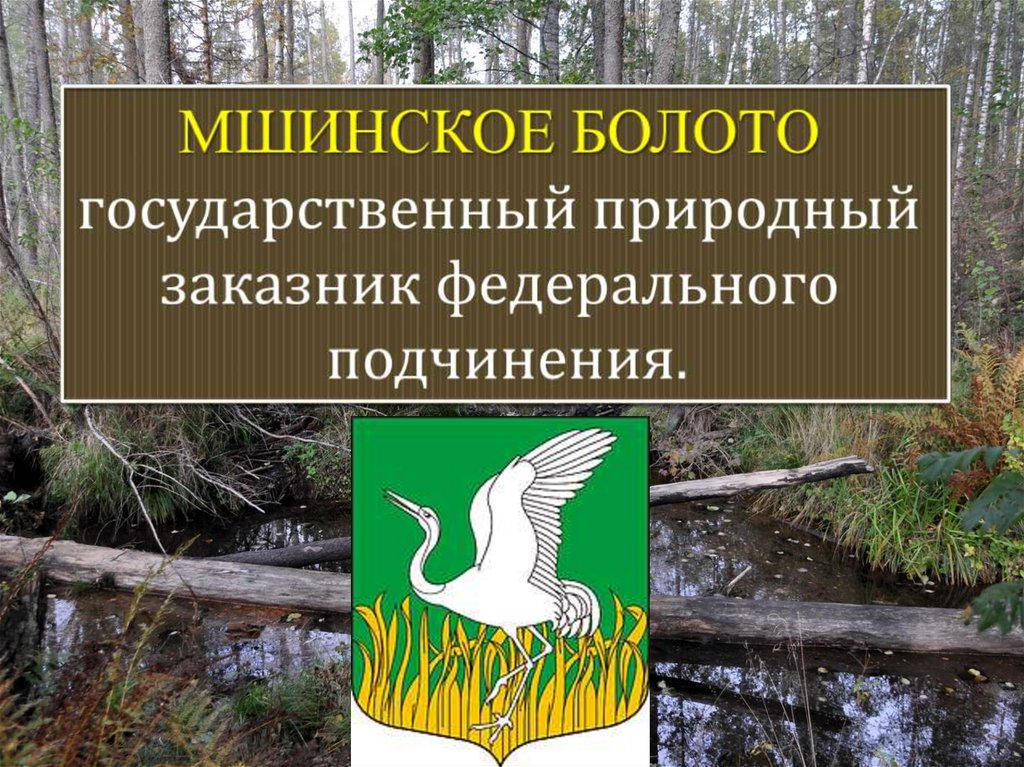 Карта заповедников ленинградской области