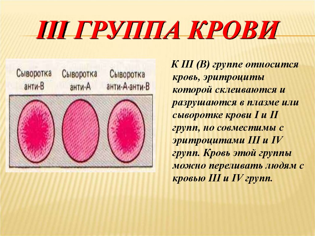 Презентация на тему группа крови