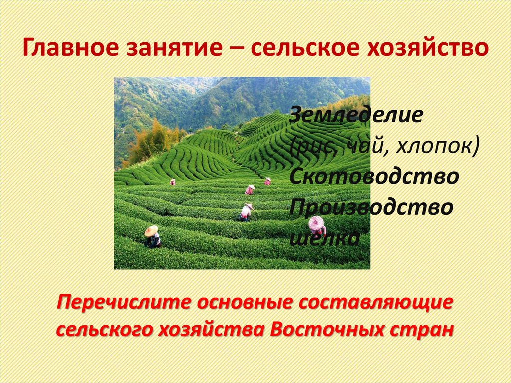 Презентация по истории 7 класс государства востока традиционное общество в эпоху нового времени