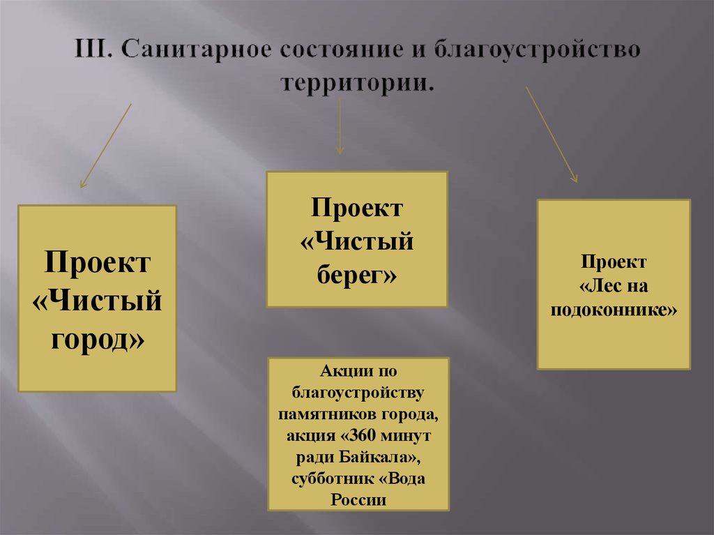 Образовательный проект берега