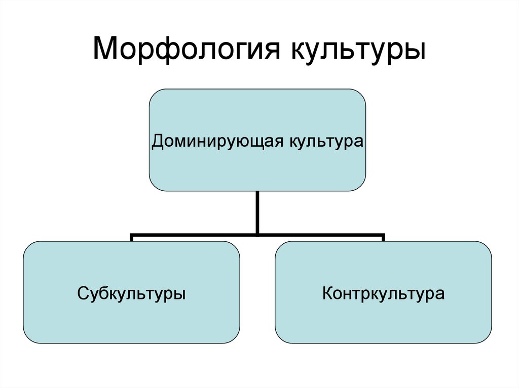 Морфология ученые