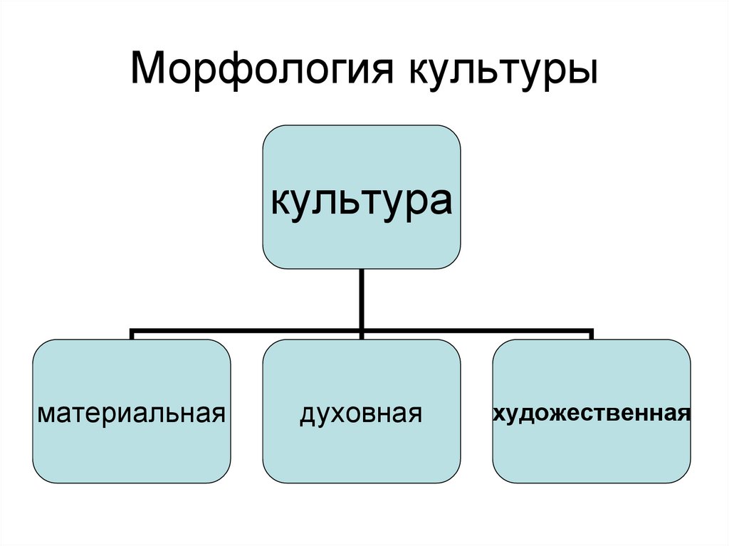 Виды общей культуры. Морфология культуры схема. Понятие морфология культуры. Структура морфологии культуры. Морфология культуры презентация.