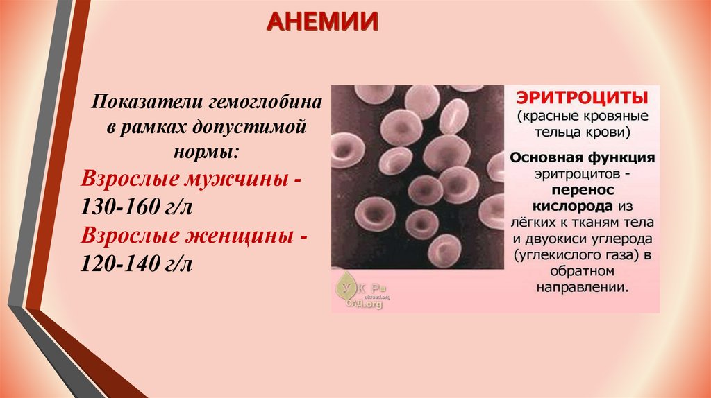 Показатели гемоглобина при анемии. Сестринская деятельность при анемии. Сестринский процесс при анемии презентация. Уход при анемии.