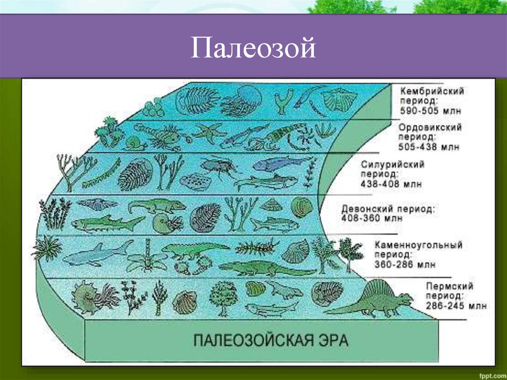 Палеозой презентация 9 класс