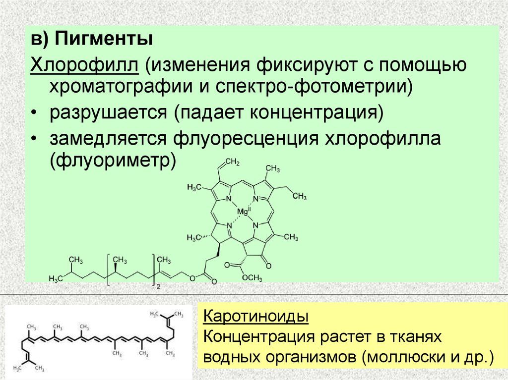 Окисление хлорофилла. Пигмент хлорофилл. Хлорофилл и каротиноиды. Пигменты хлорофилл и каротиноиды. Разрушение хлорофилла.