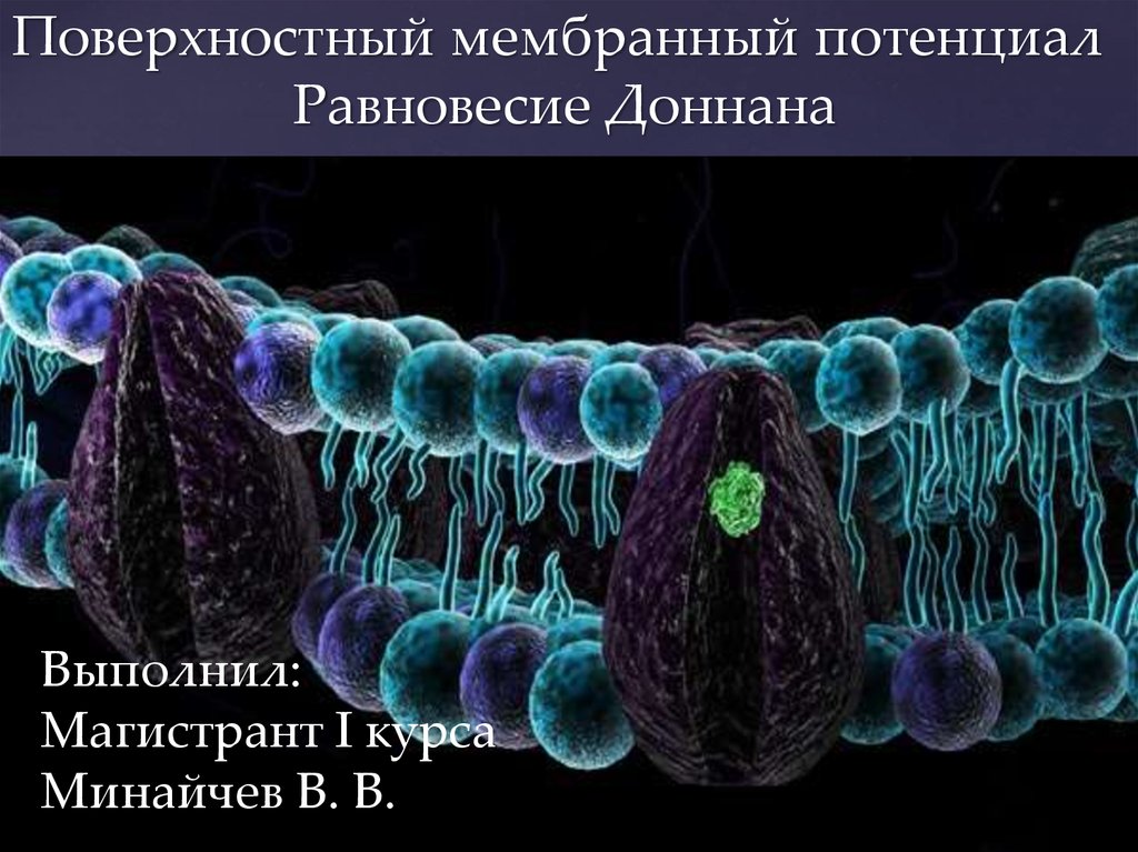 Фото плазматической мембраны