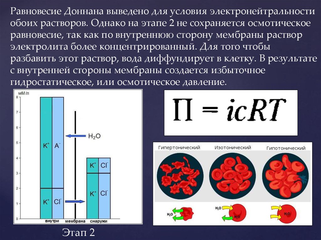 Осмотическое давление изотонического раствора