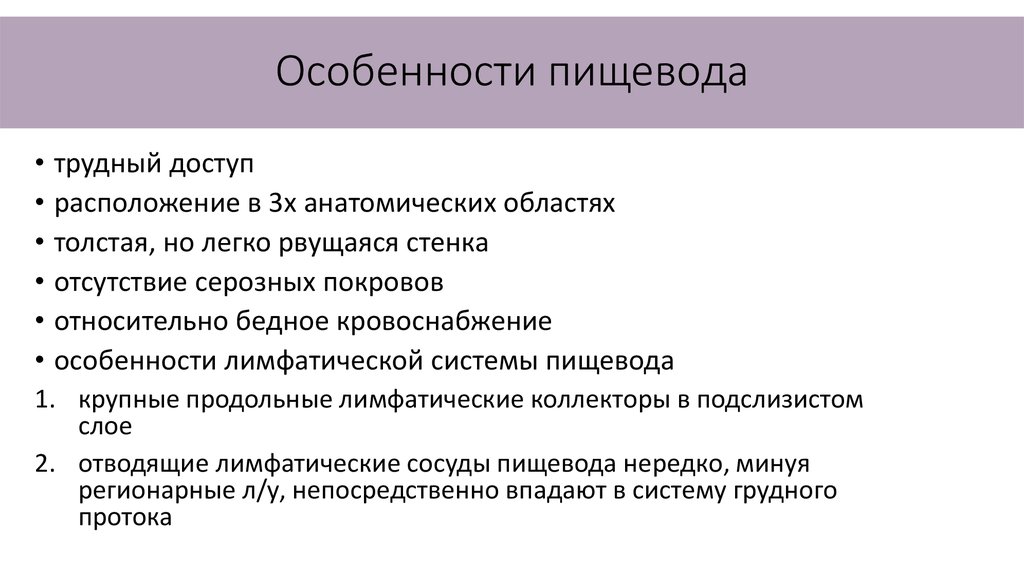 Особенности анатомии. Пищевод особенности строения и функции. Пищевод функции кратко. Особенности строения п щевода. Возрастные особенности пищевода.