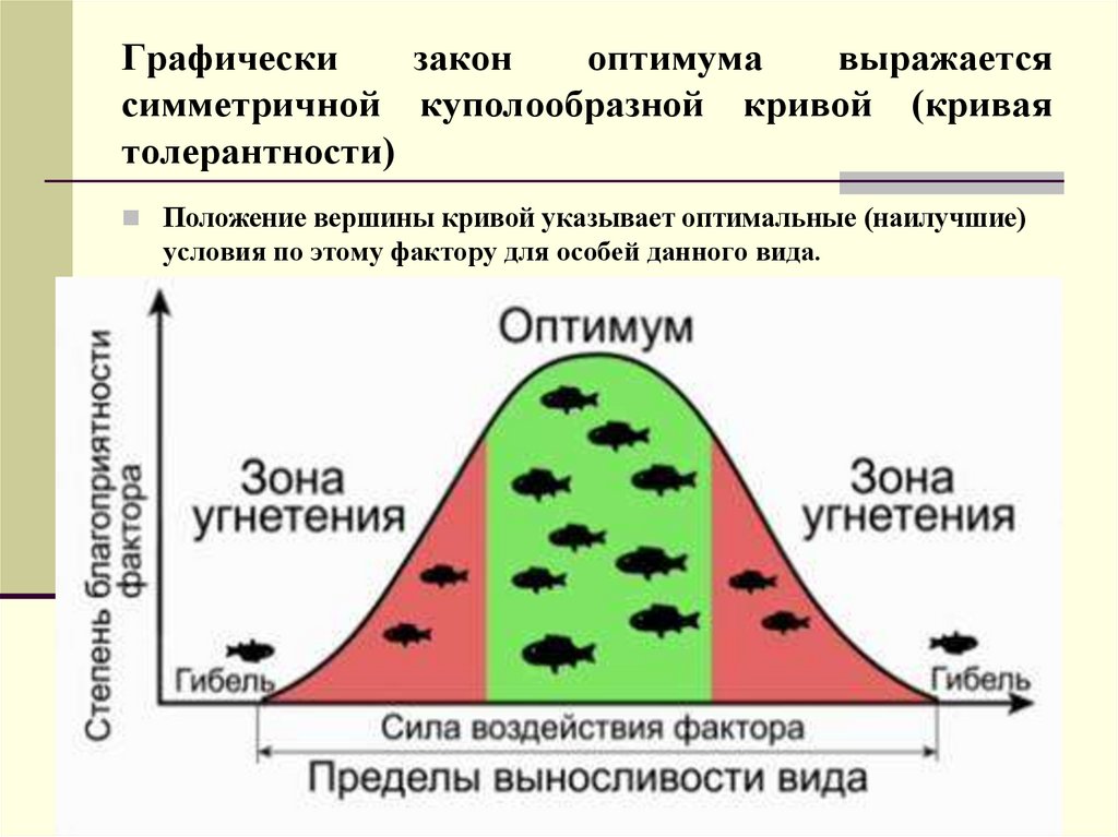 Оптимальные условия для человека. Закон экологического оптимума. Закон оптимума пессимума. Зона оптимума экологического фактора. Экологические факторы закон оптимума.