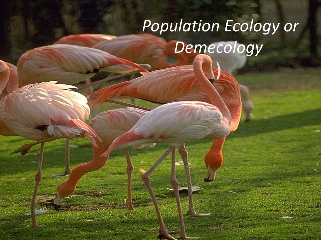 : Population Ecology or Demecology )