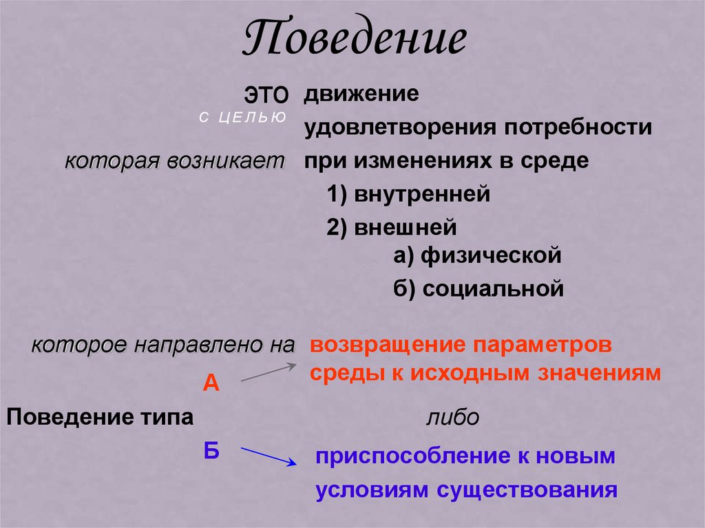 Значения поведения