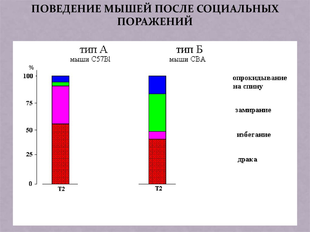 Биологические основы поведения