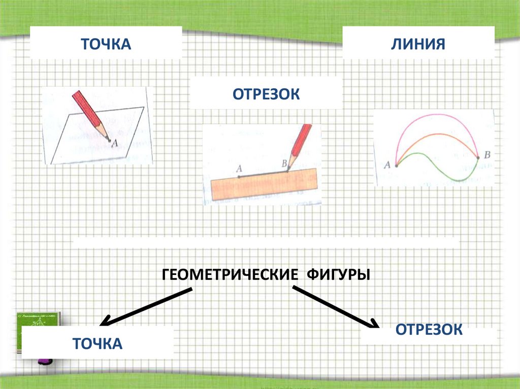 Точка линия отрезок