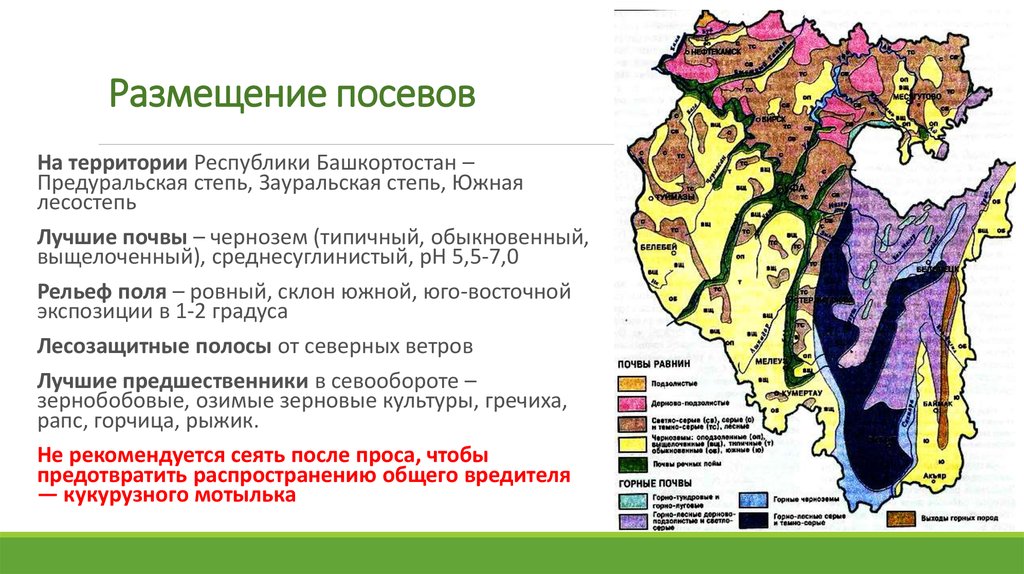 Почвы республики башкортостан карта