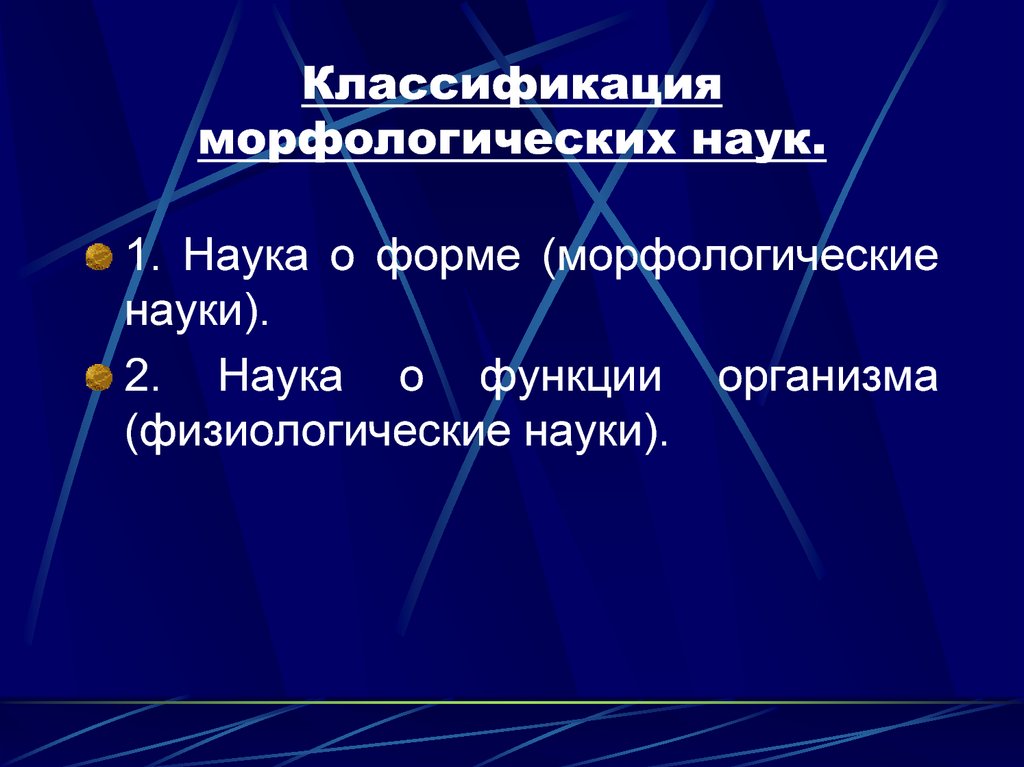 Морфологическая классификация. Классификация морфологических наук. Классификация анатомических наук. Наука анатомия классификация. Морфологические науки в медицине.