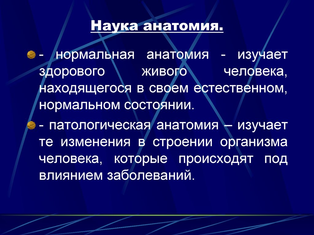 Какая наука изучает. Анатомия это наука. Разделы анатомии человека. Что изучает анатомия кратко. Наука анатомия предмет изучения.