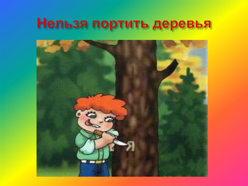 Нельзя портить деревья