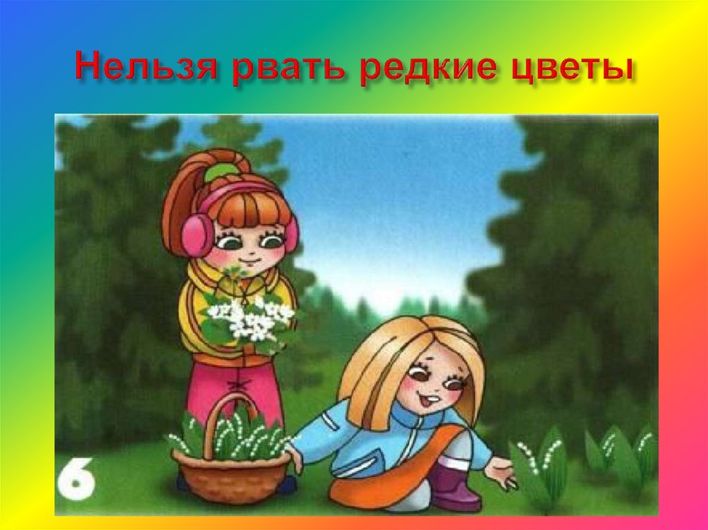 Нельзя рвать редкие цветы