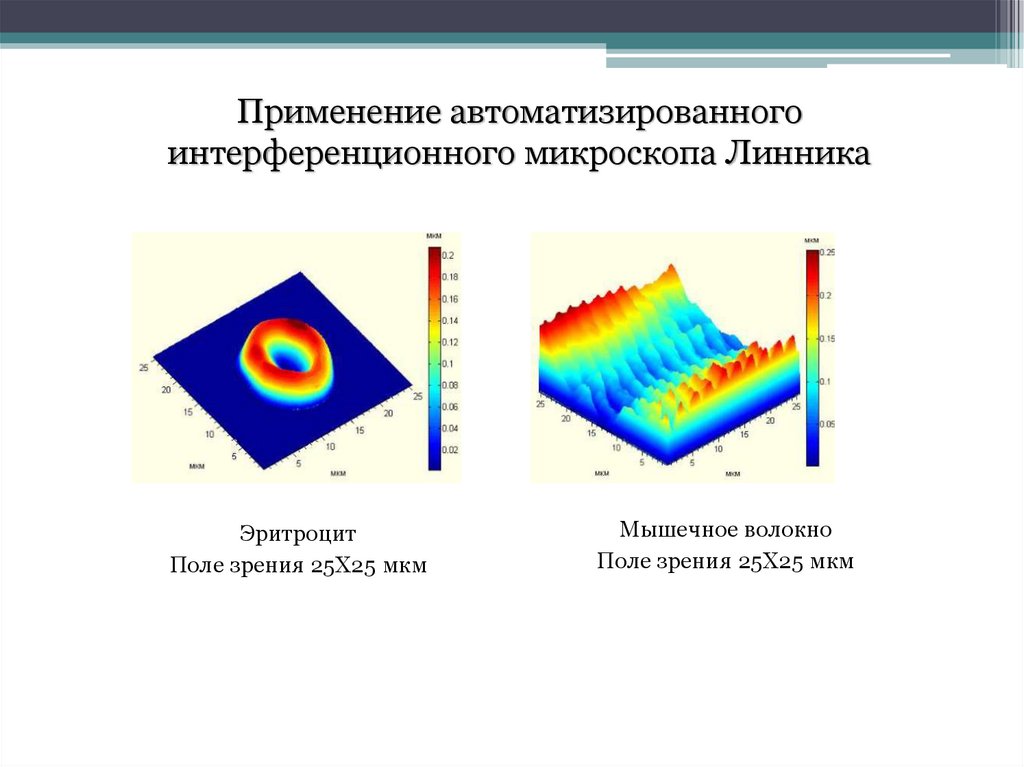 Интерферометр линника схема