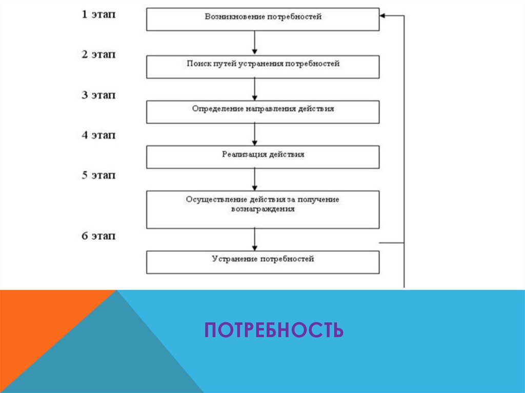 Сколько этапов