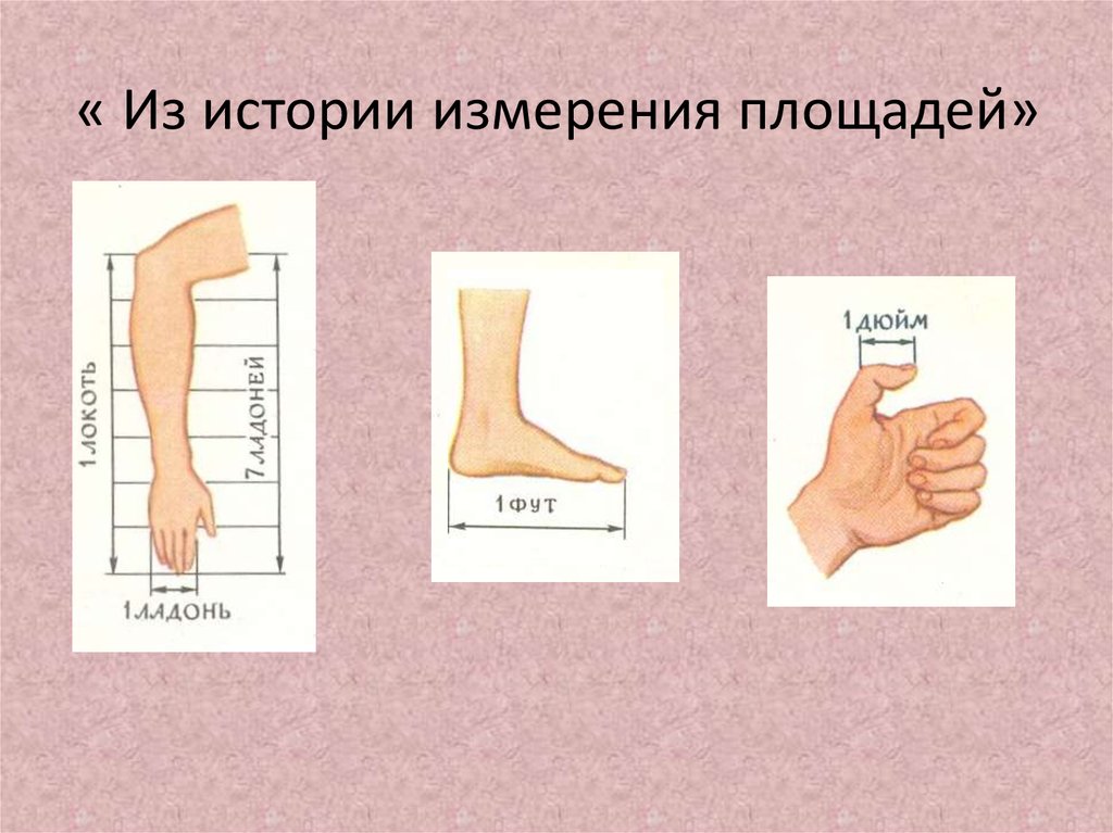 Измерение измерять. Измерение площади. Из истории измерения площадей. Как измеряли площадь в древности. Древние способы измерения площадей.