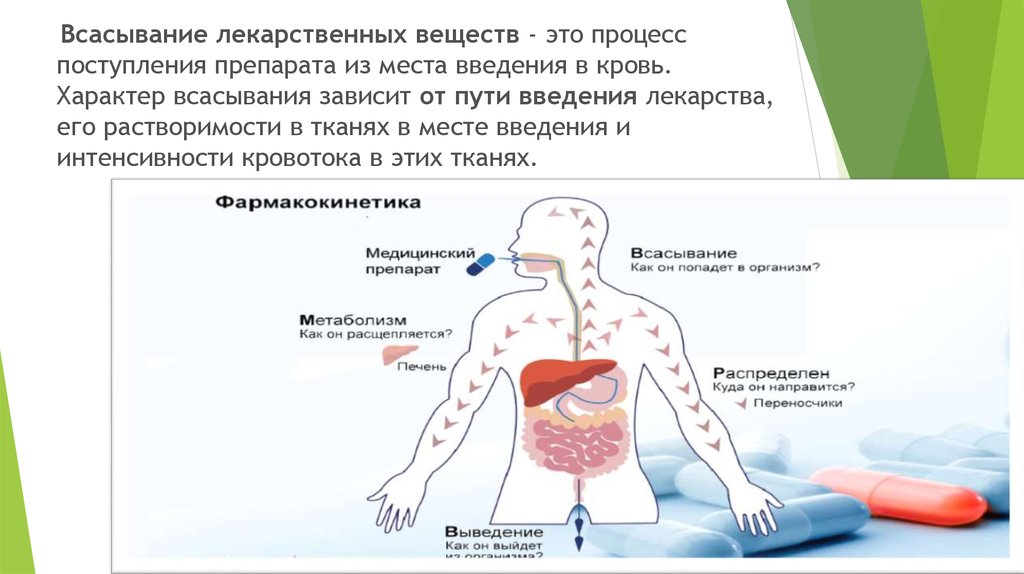 Всасывания веществ. Всасывание и пути введения лекарственных средств. Фармакокинетика лекарственных средств: пути введения в организм,. Механизмы всасывания лекарственных препаратов. Всасывание лекарственных препаратов в организме.