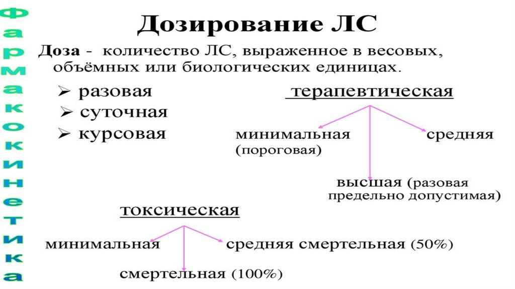 Биологическая единица. Однокамерная модель фармакокинетики. Обозначения в фармакокинетике. Линейная фармакокинетика это. Биологические единицы.