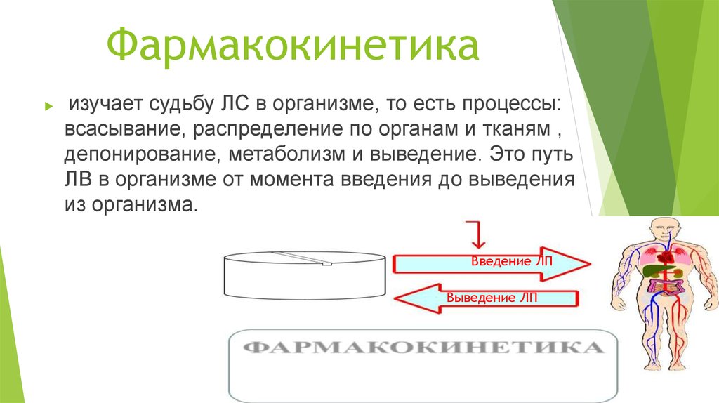 Изучение фармакокинетики. Фармакокинетика изучает. Фармакокинетика изуча. Фармакокинетика изучает процессы. Этапы фармакокинетики.