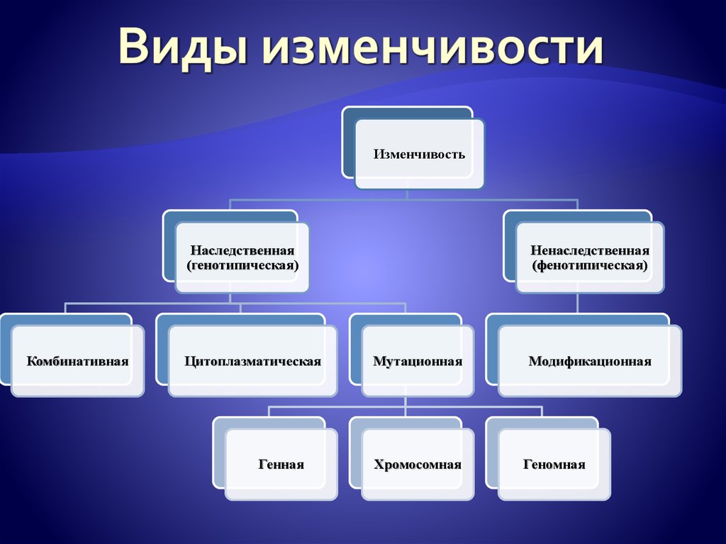 Наследственная изменчивость виды