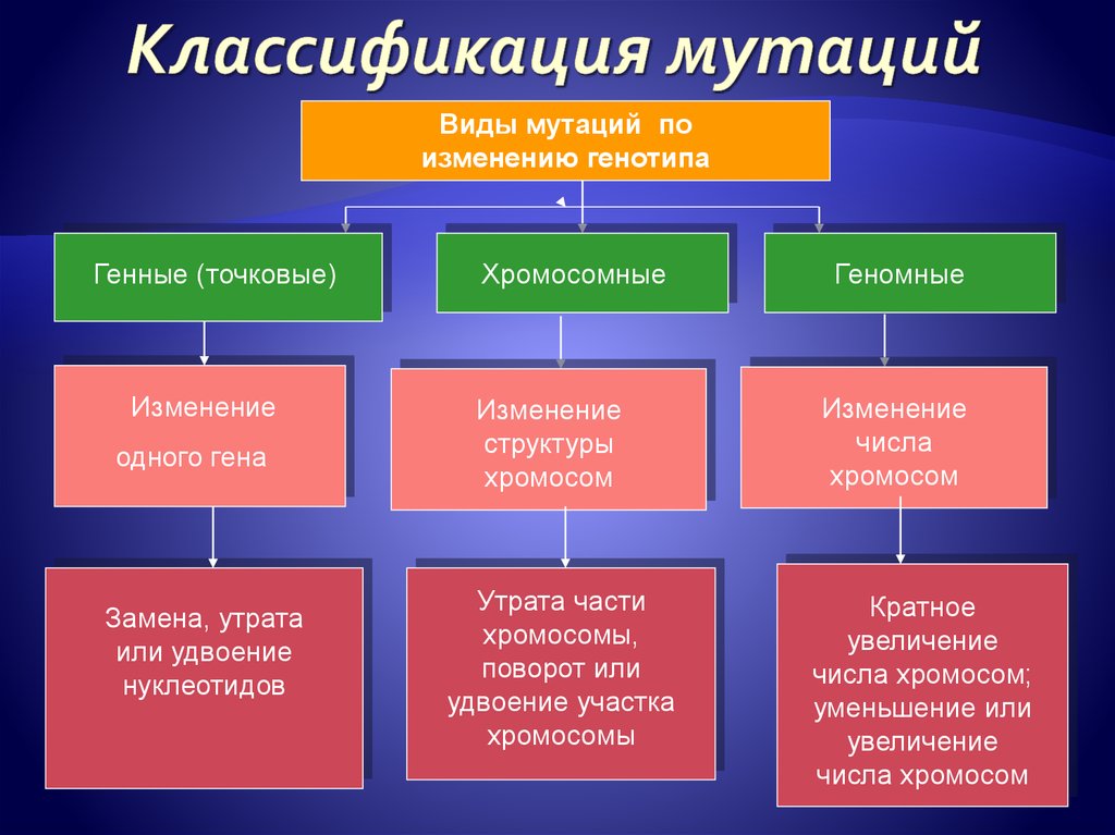 Классификация мутаций по уровню изменений наследственного материала