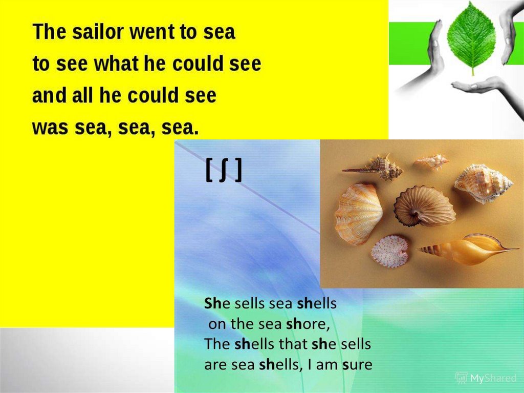 Скороговорка she sells. Скороговорка she sells Sea Shells. Скороговорки на английском she sells Seashells. Seashells скороговорка.