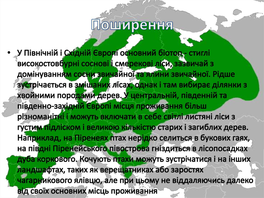Поширення