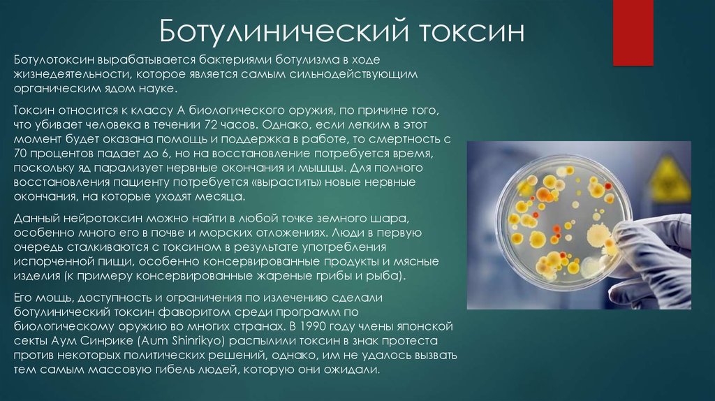 Токсины читать на русском. Ботулинический Токсин биологическое оружие. Типы ботулинического токсина. Строение токсина ботулизма.