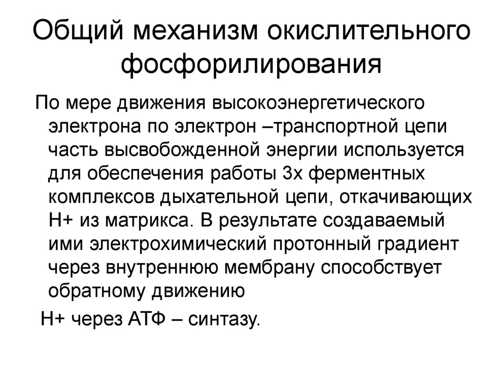 Общий механизм окислительного фосфорилирования