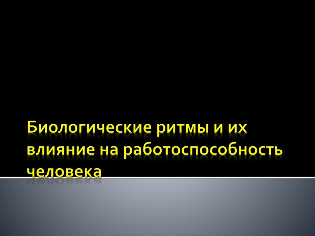 Влияние биоритмов на работоспособность человека проект - 94 фото