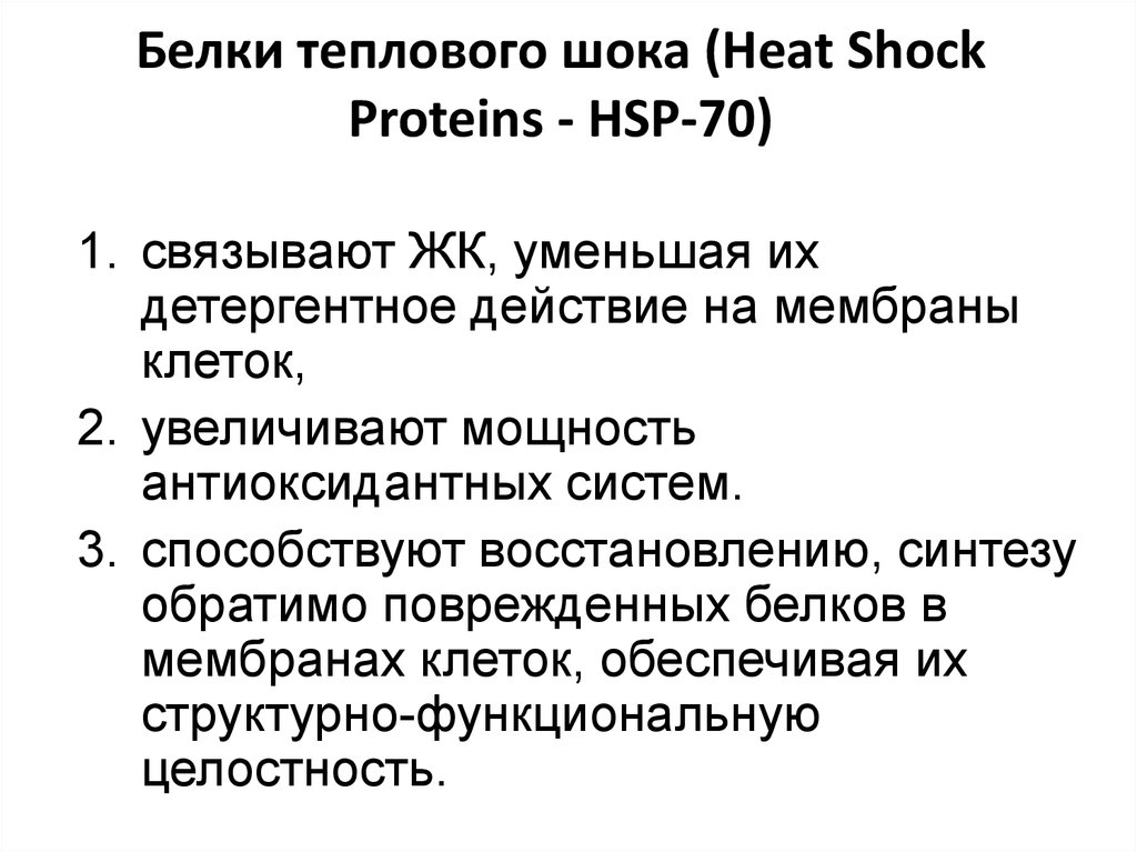 Хламидии тепловой шок
