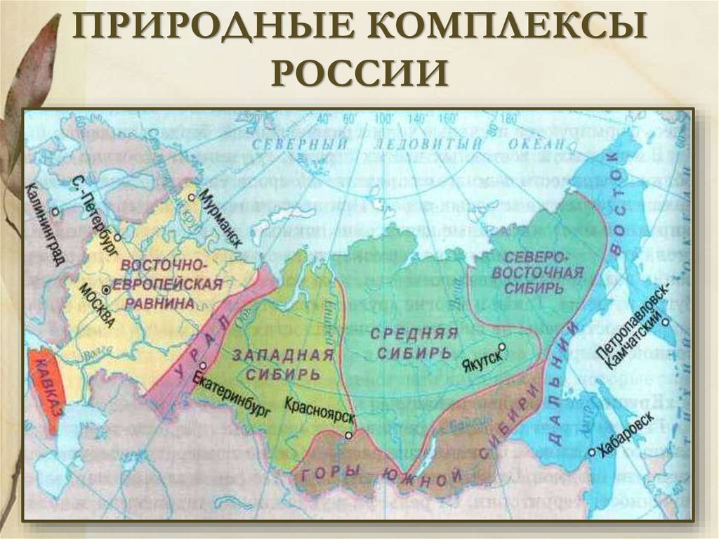 Природные районы россии 8 класс география презентация