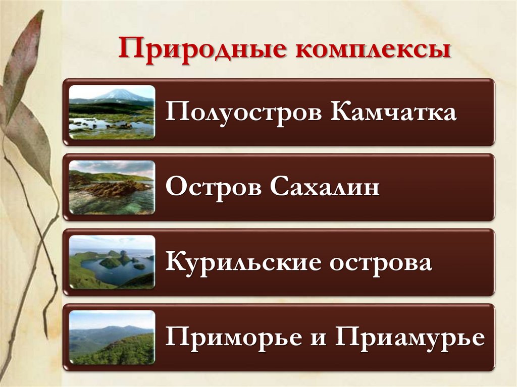 Природные ресурсы дальнего востока презентация