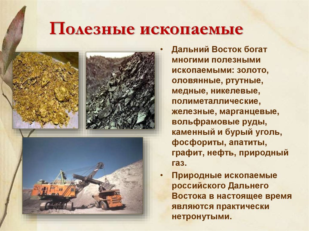 Рыбные ресурсы каменный уголь. Полезные ископаемые руды. Природные полезные ископаемые России. Рудные полезные ископаемые. Полезные ископаемые руды золота.