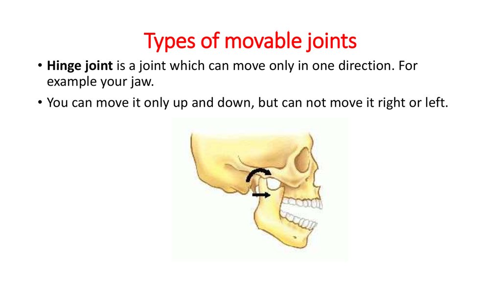 Class movable joints - презентация онлайн