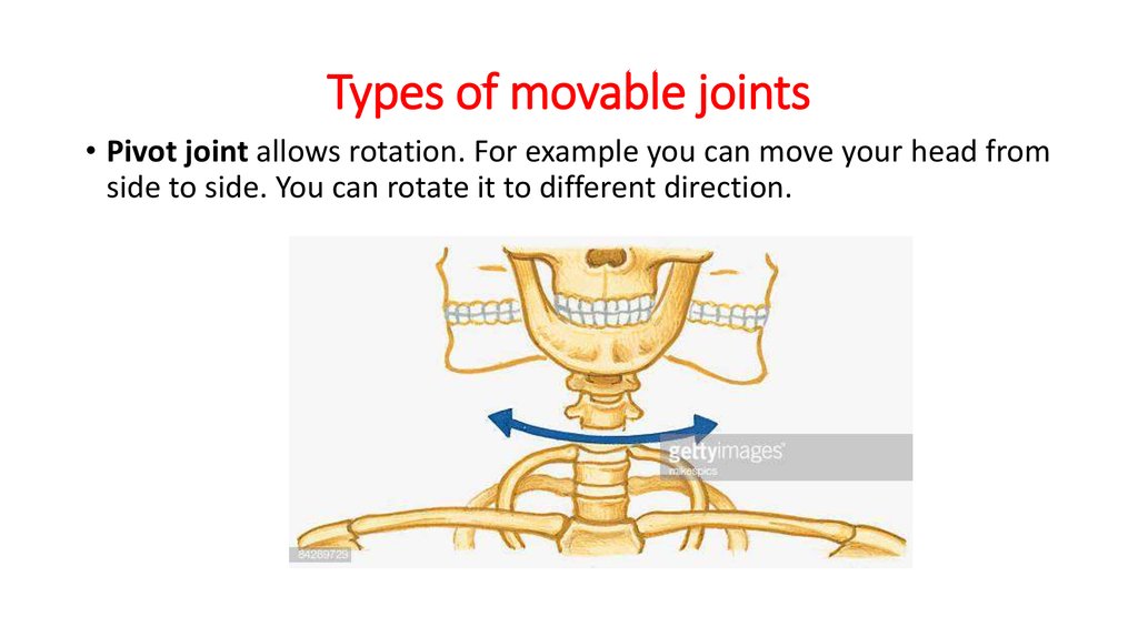 Partially Movable Joints Examples