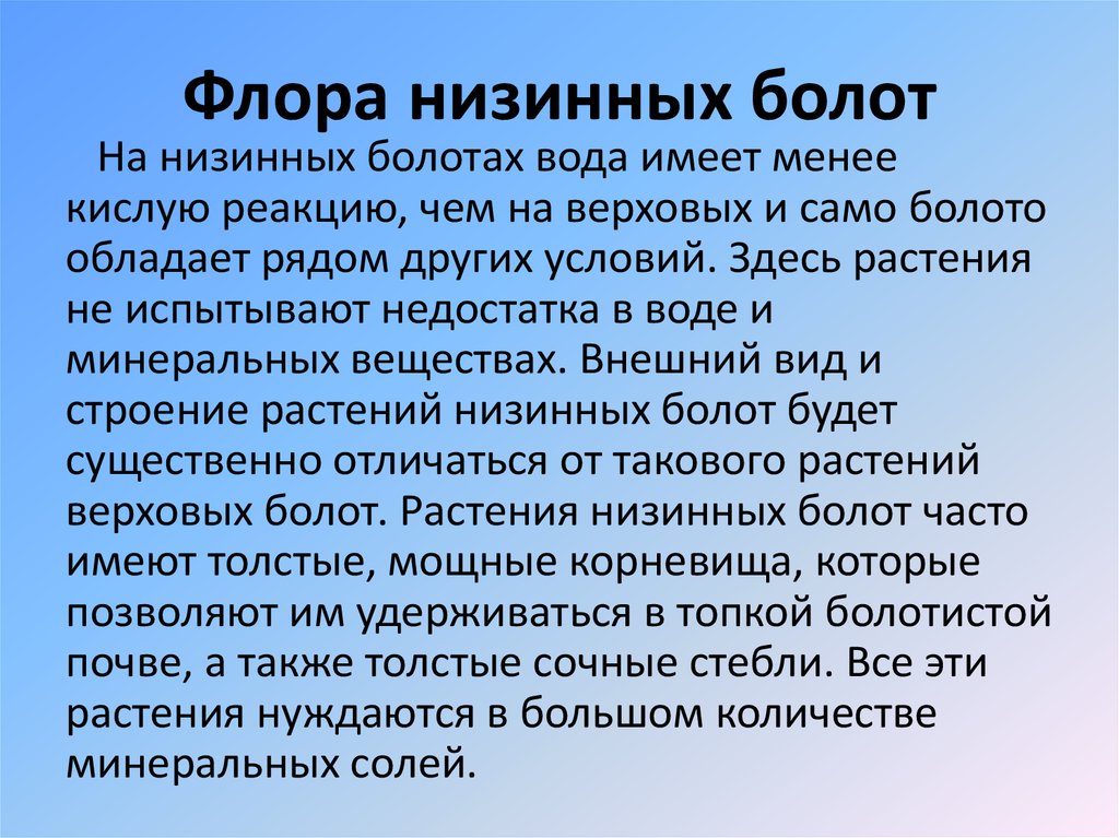 Каковы отличия низинных и верховых болот