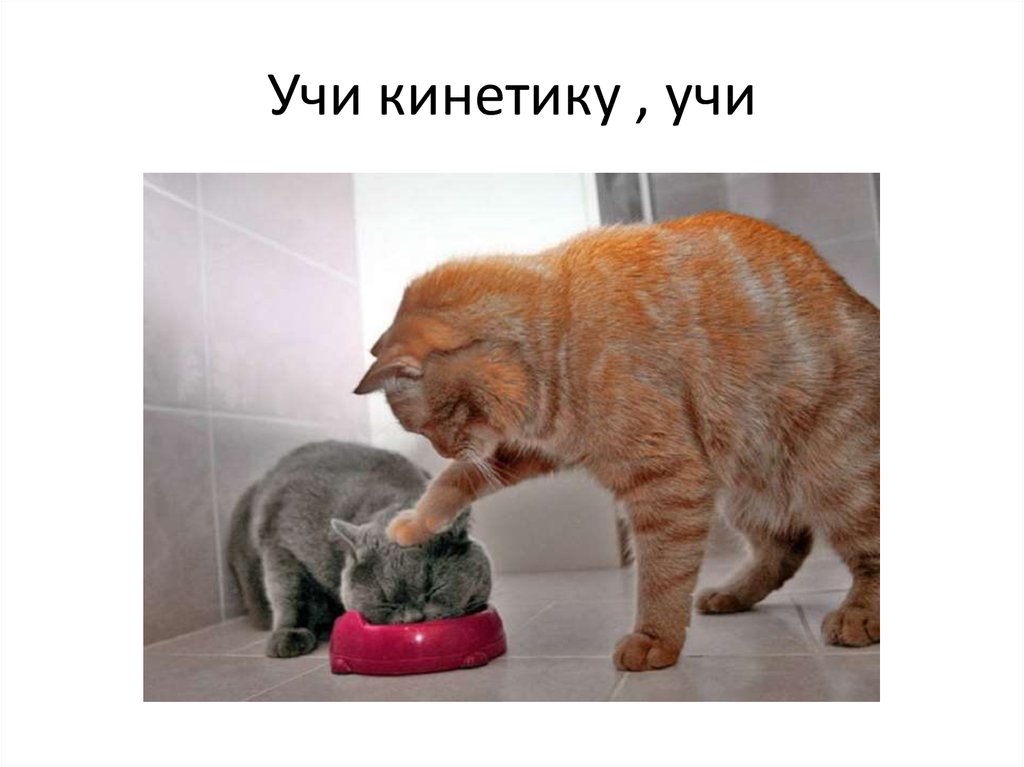 Учи кинетику , учи