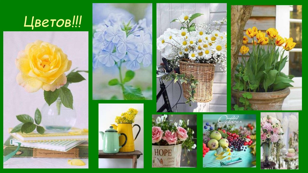 Цветов!!!