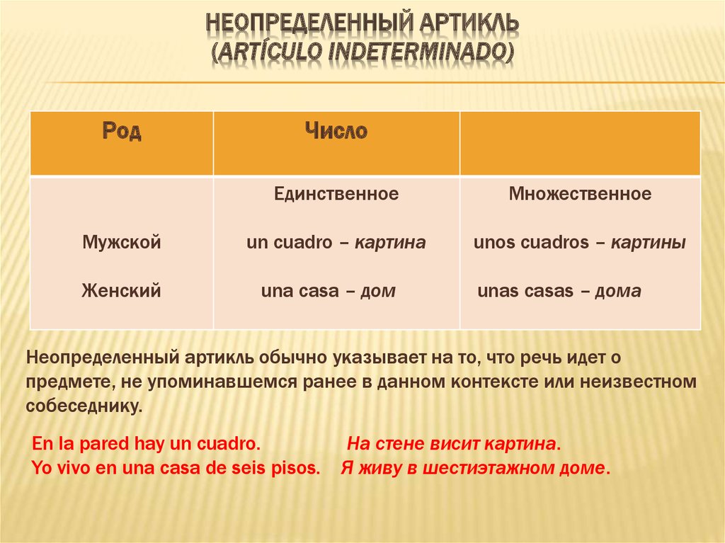 Токио какой род существительного. Худи род слова. Портмоне род существительного. Токио род.