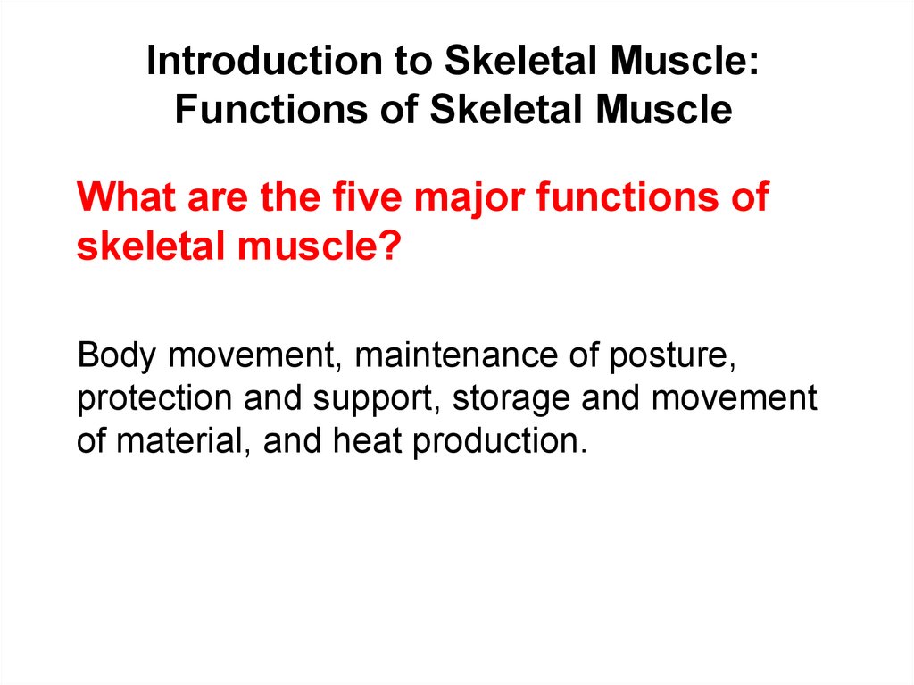 Introduction to Skeletal Muscle: Functions of Skeletal Muscle